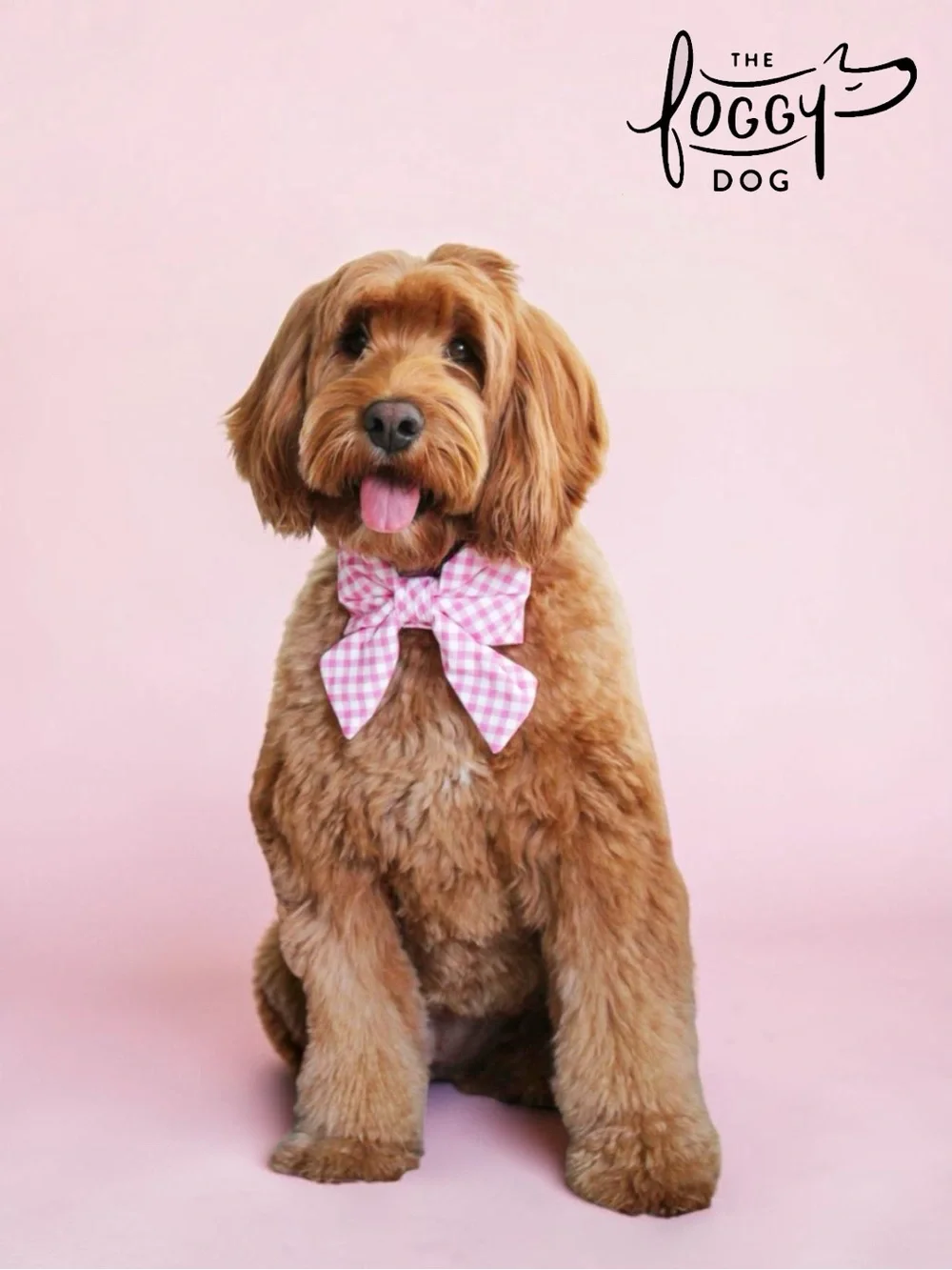 The Foggy Dog ‘Pink Gingham’ Lady Bow Dog Collar